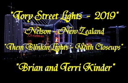 Tory Street Lights (NZ) - Them Blinkin Lights by Brian and Terri Kinder